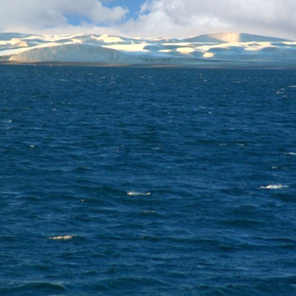 Laguna Ojo de Liebre